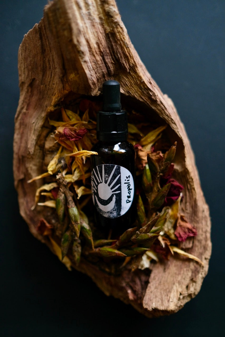Cottonwood - Propolis