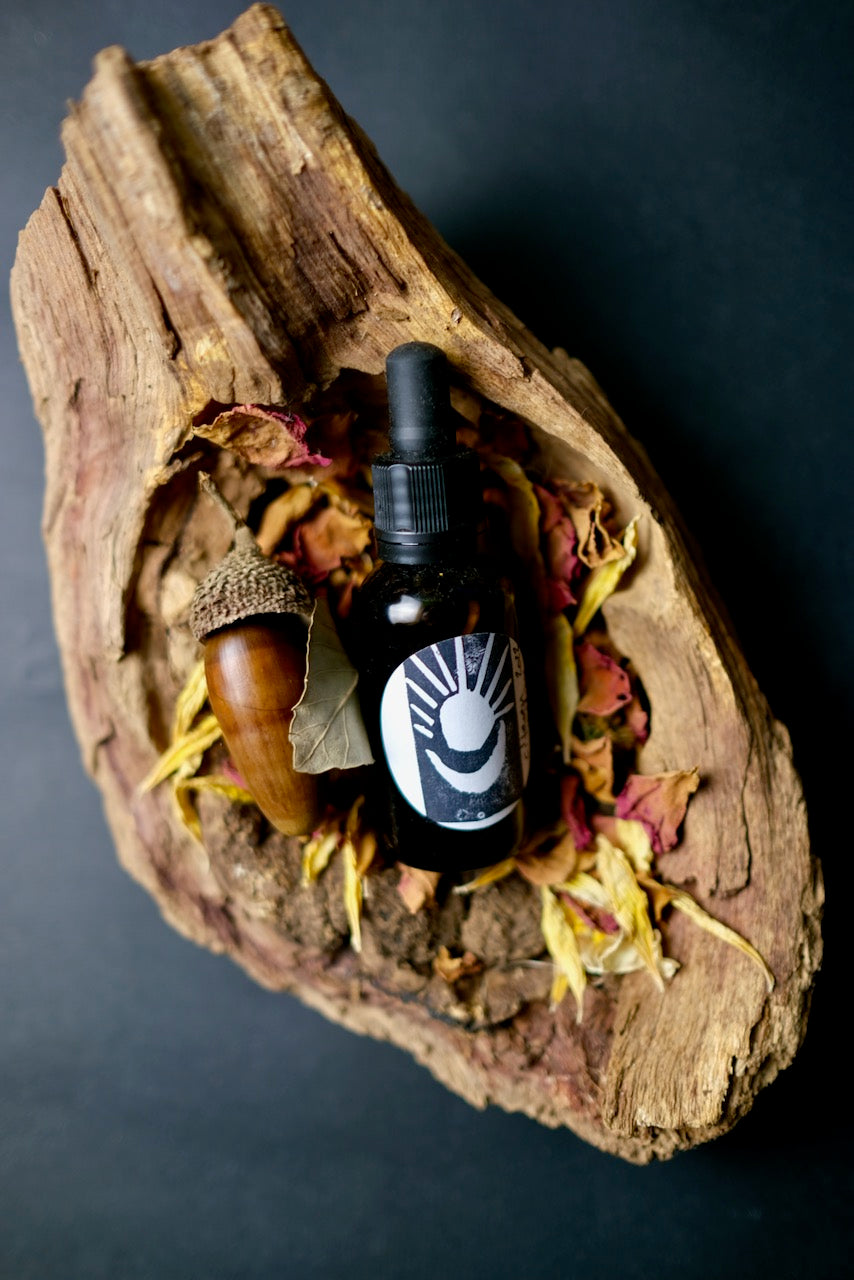 Echinacea (immune system support)