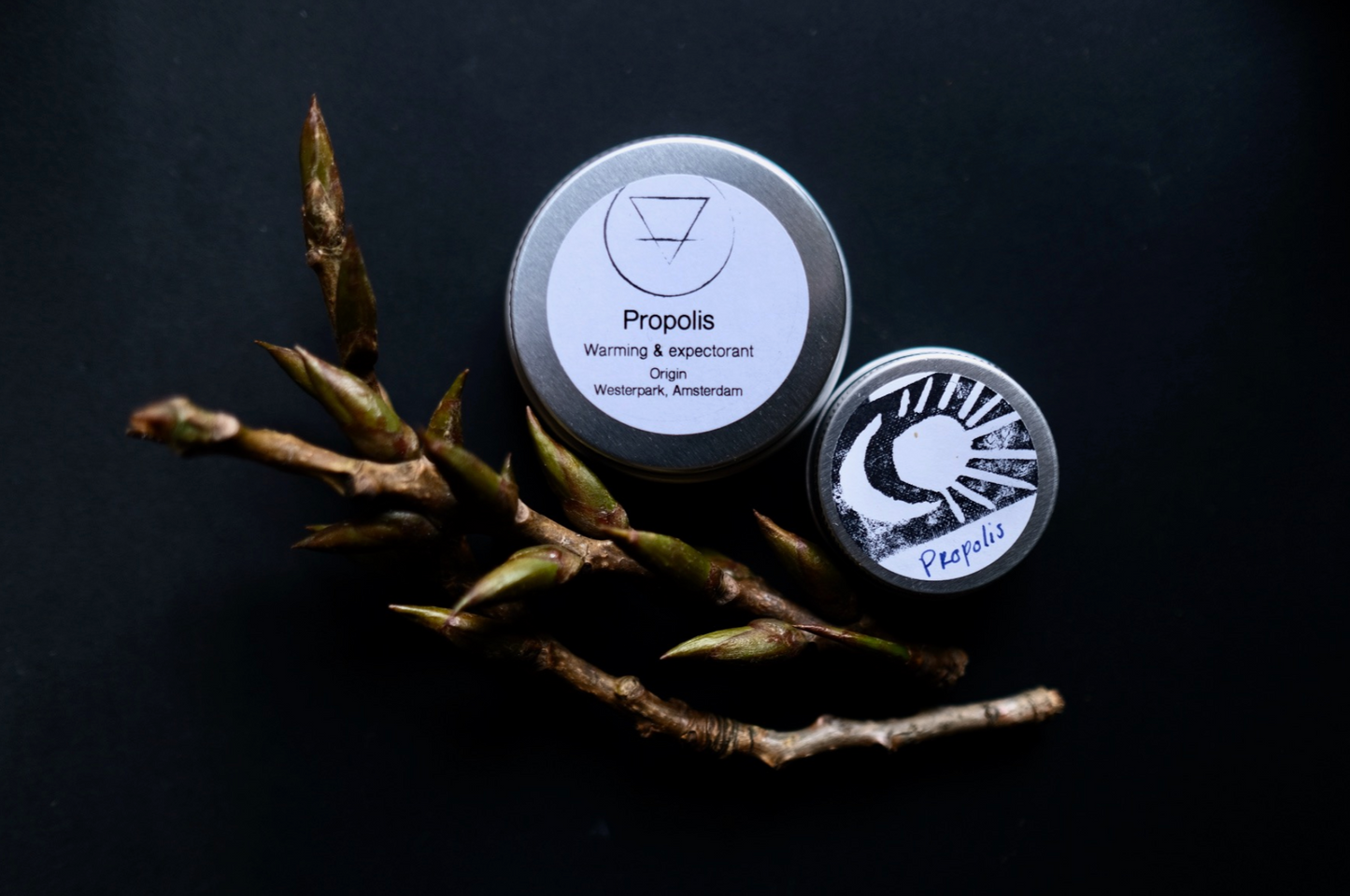 Propolis Salve Balm of Gilead (Ethically Wildcrafted)