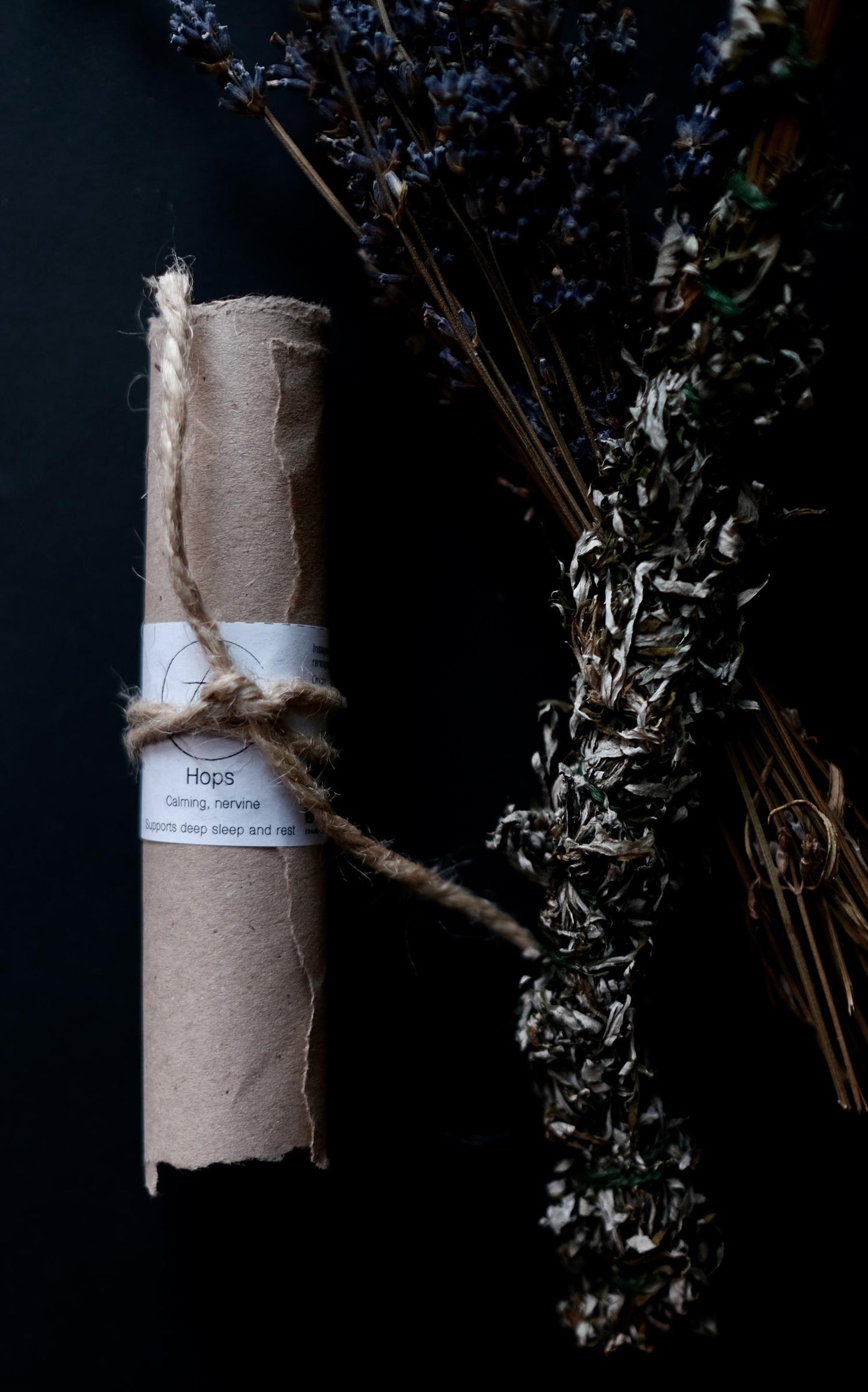 Wild Hops Tincture (Nerve Tonic - Sleeplessness)