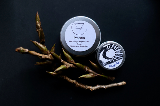 Propolis Salve Balm of Gilead  (Ethically Wildcrafted)